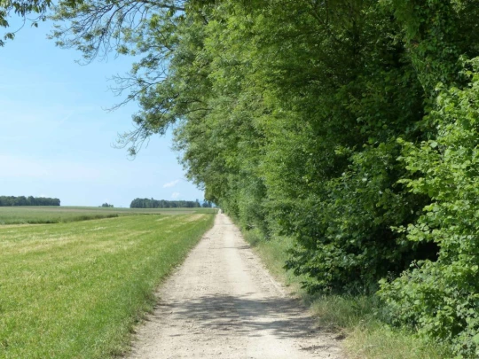 chavannes-de-bogis-versoix-105