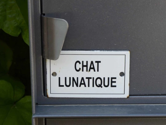 chavannes-de-bogis-versoix-109