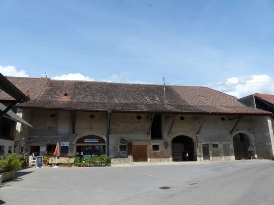 chavannes-de-bogis-versoix-110