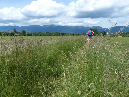 chavannes-de-bogis-versoix-111