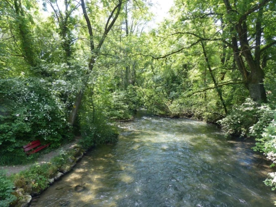 chavannes-de-bogis-versoix-113