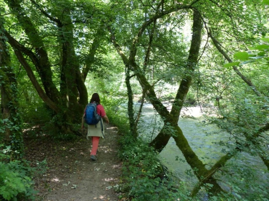 chavannes-de-bogis-versoix-114