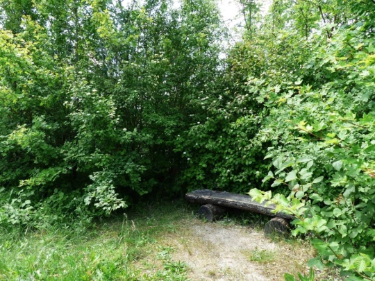 chavannes-de-bogis-versoix-119