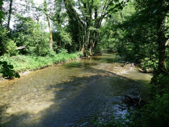 chavannes-de-bogis-versoix-121