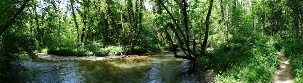 chavannes-de-bogis-versoix-123