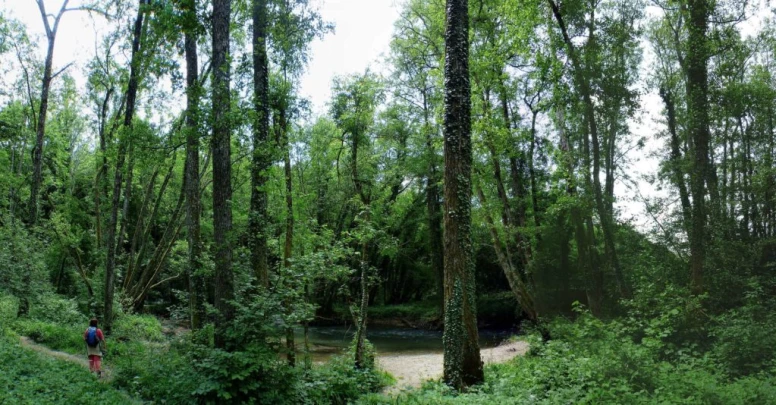 chavannes-de-bogis-versoix-124