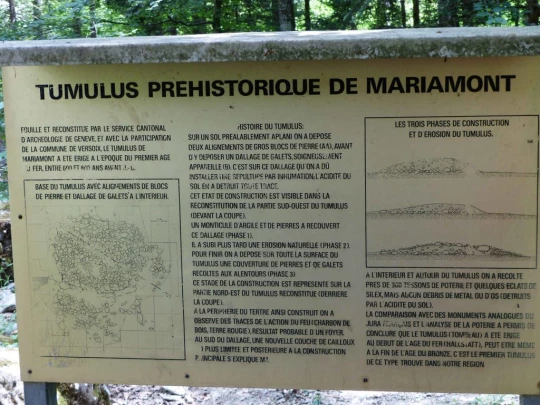 chavannes-de-bogis-versoix-125