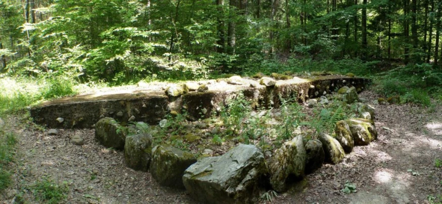 chavannes-de-bogis-versoix-126