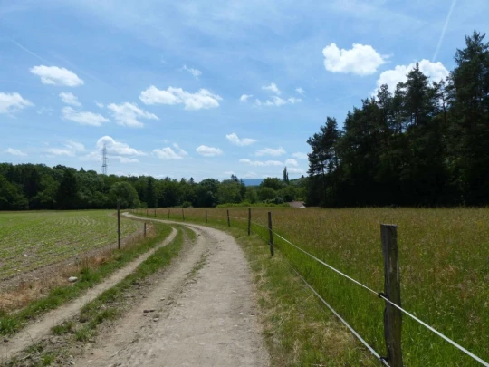 chavannes-de-bogis-versoix-128