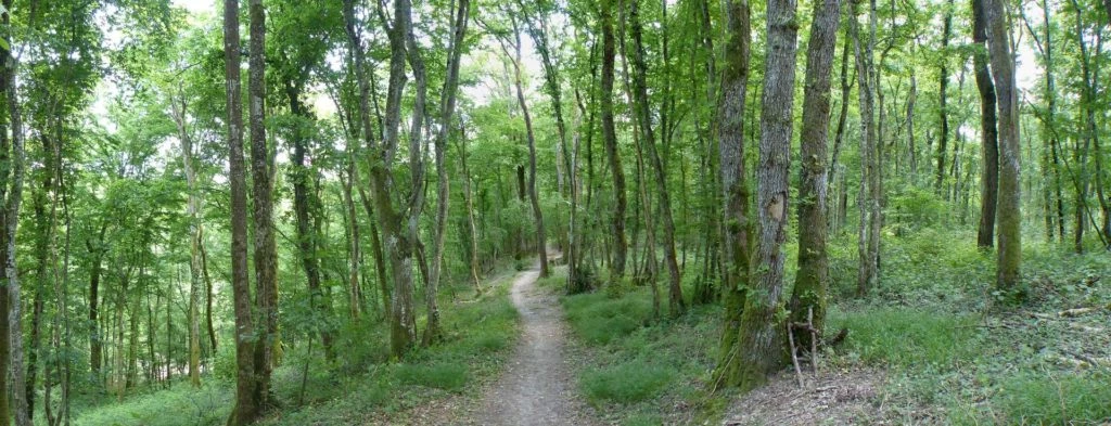 chavannes-de-bogis-versoix-132