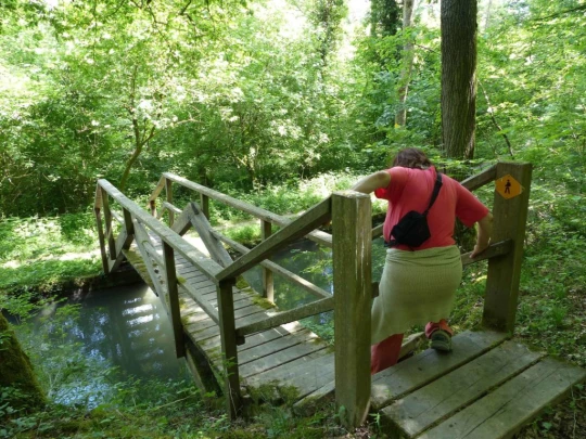 chavannes-de-bogis-versoix-133