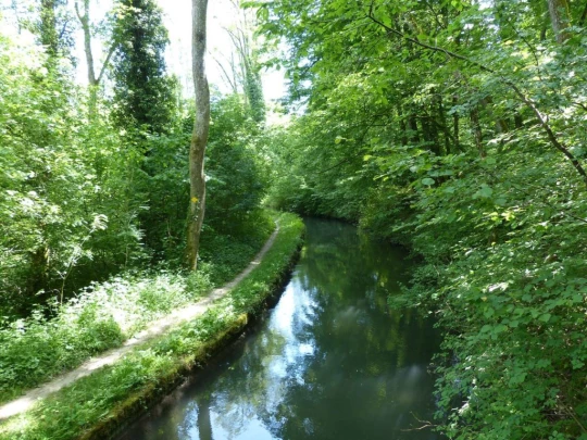 chavannes-de-bogis-versoix-134