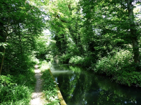 chavannes-de-bogis-versoix-135