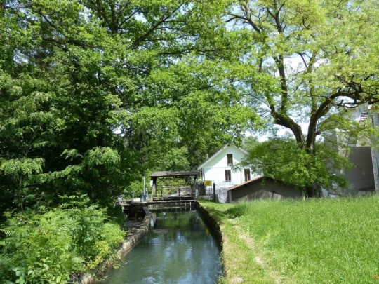 chavannes-de-bogis-versoix-136