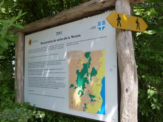 chavannes-de-bogis-versoix-137