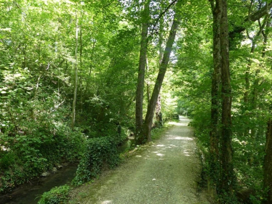 chavannes-de-bogis-versoix-138