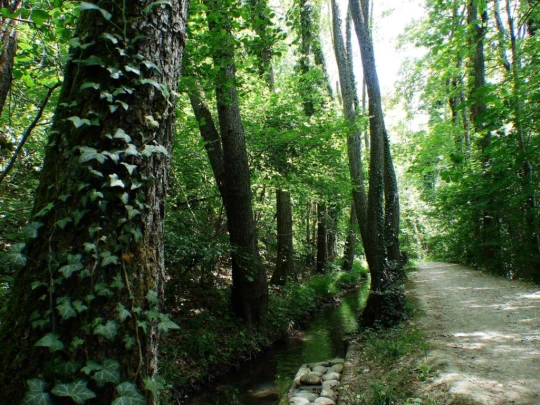 chavannes-de-bogis-versoix-139