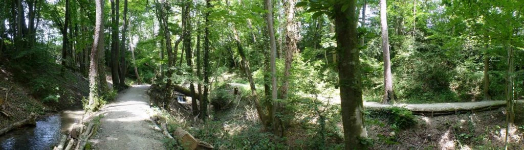 chavannes-de-bogis-versoix-140