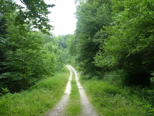 chavannes-le-veyron-apples-109