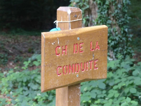 chavannes-le-veyron-apples-115