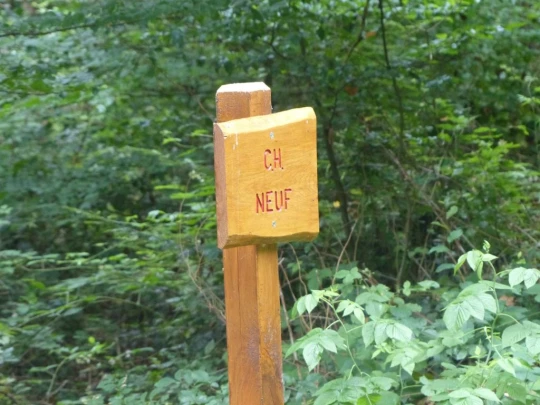 chavannes-le-veyron-apples-117