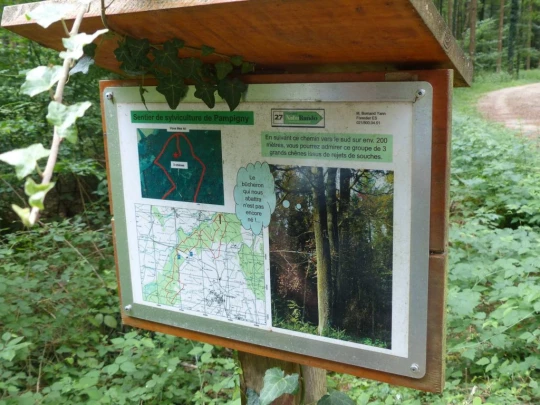 chavannes-le-veyron-apples-118