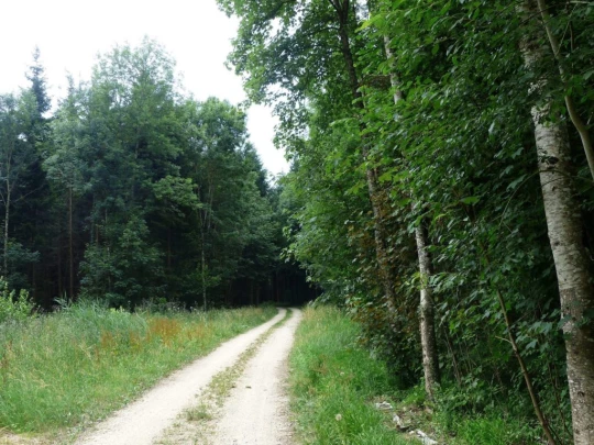 chavannes-le-veyron-apples-121