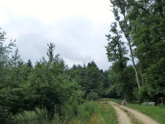 chavannes-le-veyron-apples-123