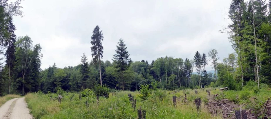 chavannes-le-veyron-apples-129