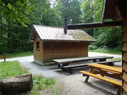 chavannes-le-veyron-apples-133