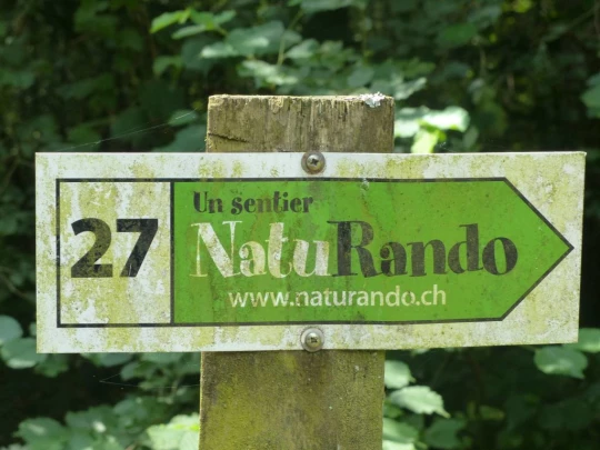 chavannes-le-veyron-apples-134