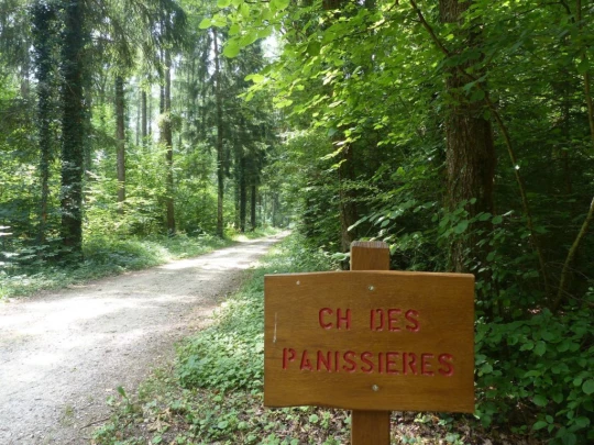 chavannes-le-veyron-apples-135