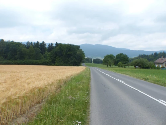 chavannes-le-veyron-apples-139