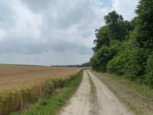 chavannes-le-veyron-apples-142