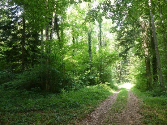 chavannes-le-veyron-apples-143