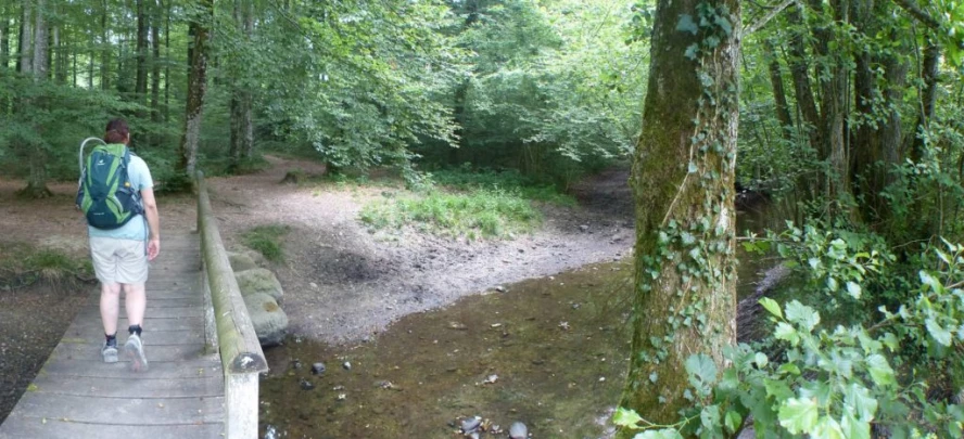 chavannes-le-veyron-apples-148