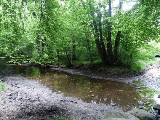 chavannes-le-veyron-apples-149