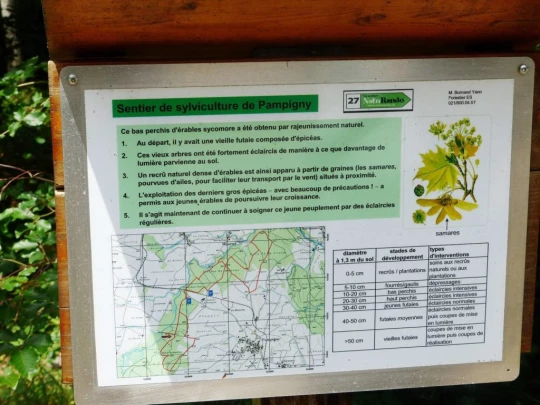 chavannes-le-veyron-apples-151