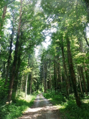 chavannes-le-veyron-apples-153