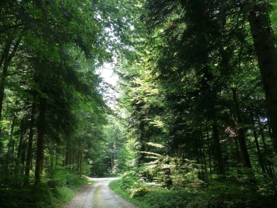 chavannes-le-veyron-apples-155