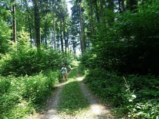 chavannes-le-veyron-apples-168