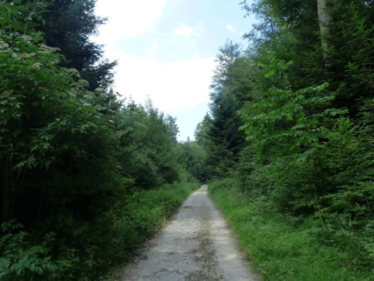 chavannes-le-veyron-apples-171