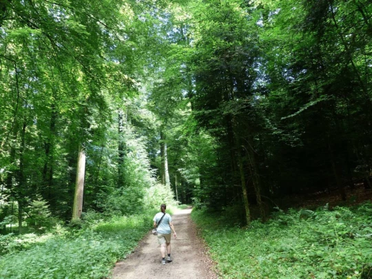 chavannes-le-veyron-apples-172