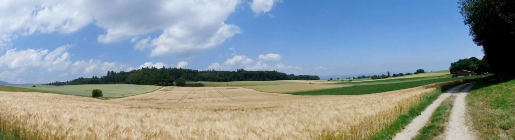 chavannes-le-veyron-apples-177