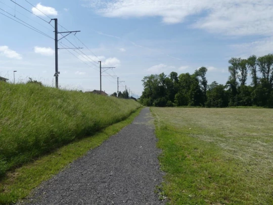 cheseaux-renens-lausanne-101