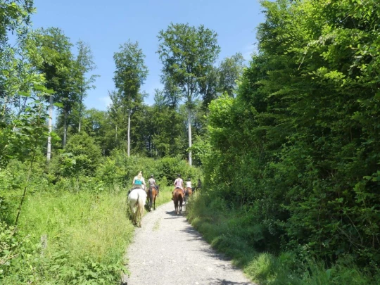 cheseaux-renens-lausanne-115