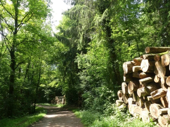 cheseaux-renens-lausanne-141