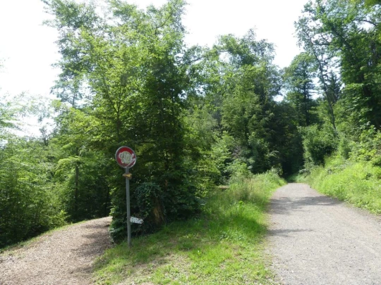 cheseaux-renens-lausanne-144