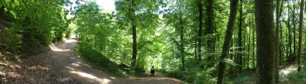 cheseaux-renens-lausanne-145