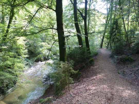cheseaux-renens-lausanne-152